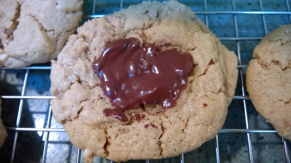 Peanut Butter and Chocolate Cookie